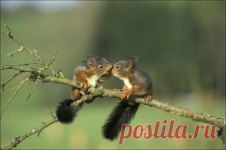 Интересные новости