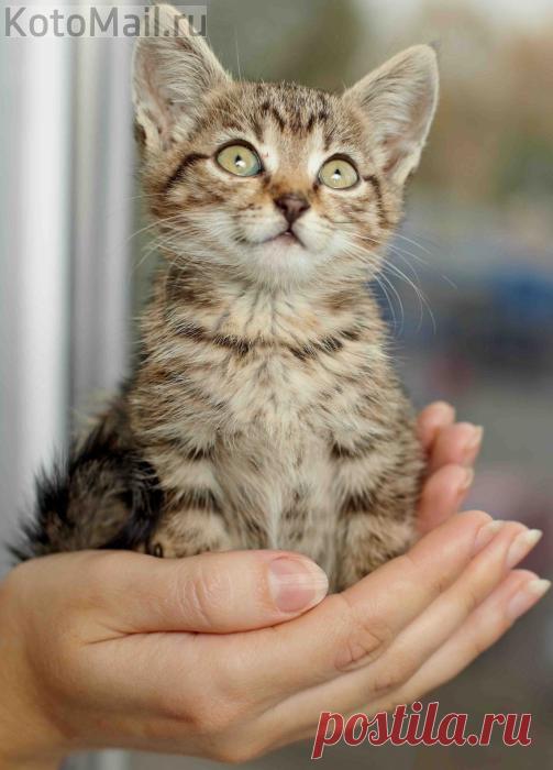 Это мои любящие руки!