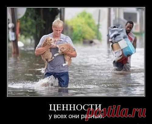 Только добро, творимое человеком, остается, и благодаря ему жизнь чего-нибудь стоит. 
(Ж. Ж. Руссо)