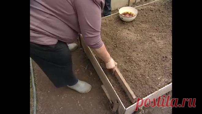 Идеи для сада | дача | ландшафт| огород | ВКонтакте