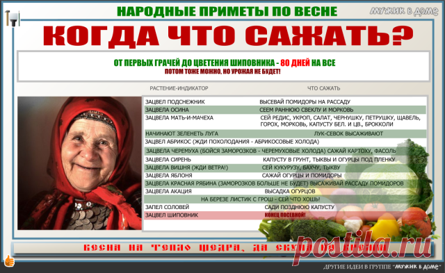 СТАРИННЫЕ НАБЛЮДЕНИЯ - определяем сроки высадки по цветению растений. Не путать с суевериями, здесь только ботаника!
Другие полезности в группе