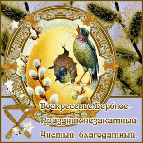 Тамара &quot;tijna Муур&quot; м. - Google+