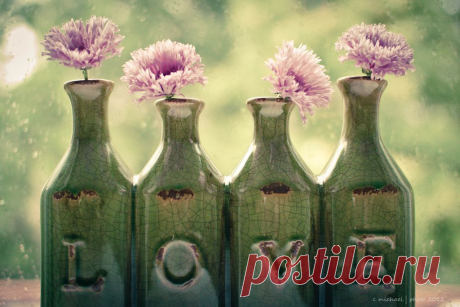 m4h 30/52 Euphoria | Flickr - Photo Sharing!