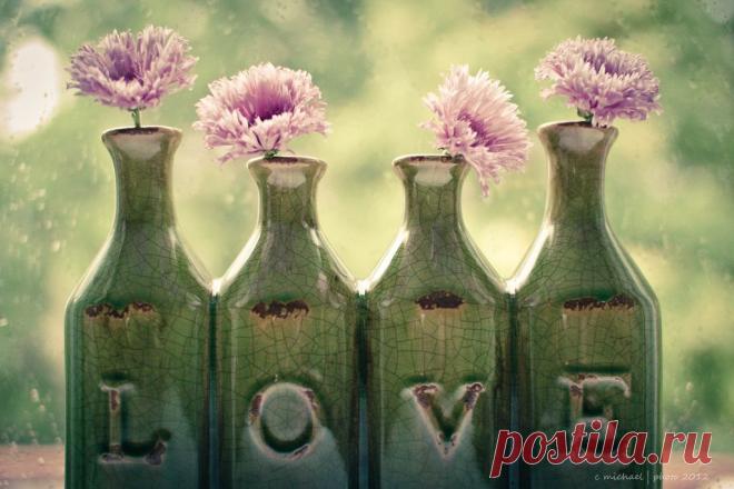 m4h 30/52 Euphoria | Flickr - Photo Sharing!