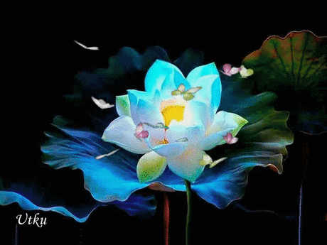 pic (640×480)