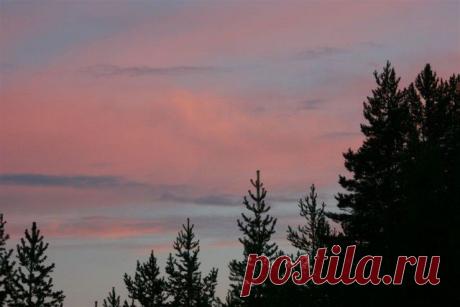 (+1) - Удивительная Карелия | Непутевые заметки