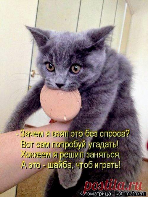 d49a3e31.jpg (500×667)