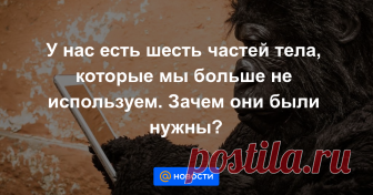 У нас есть шесть частей тела, которые мы больше не используем. Зачем они были нужны? Шевеление ушами и третье веко — миллионы лет назад наши предки находили им применение. Несмотря на то, что некоторые человеческие органы перестали функционировать, люди по-прежнему рождаются и живут с «эволюционными остатками».