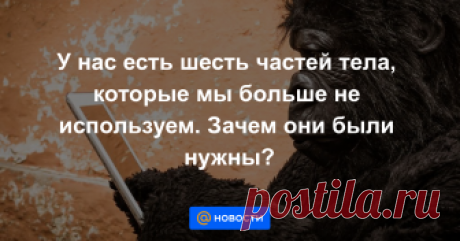 У нас есть шесть частей тела, которые мы больше не используем. Зачем они были нужны? Шевеление ушами и третье веко — миллионы лет назад наши предки находили им применение. Несмотря на то, что некоторые человеческие органы перестали функционировать, люди по-прежнему рождаются и живут с «эволюционными остатками».