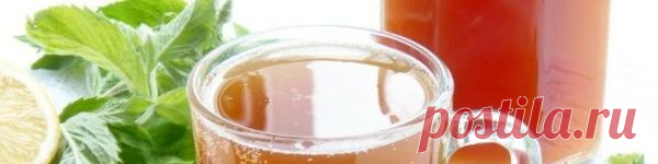 Квас из цикория в домашних условиях с сухими дрожжами