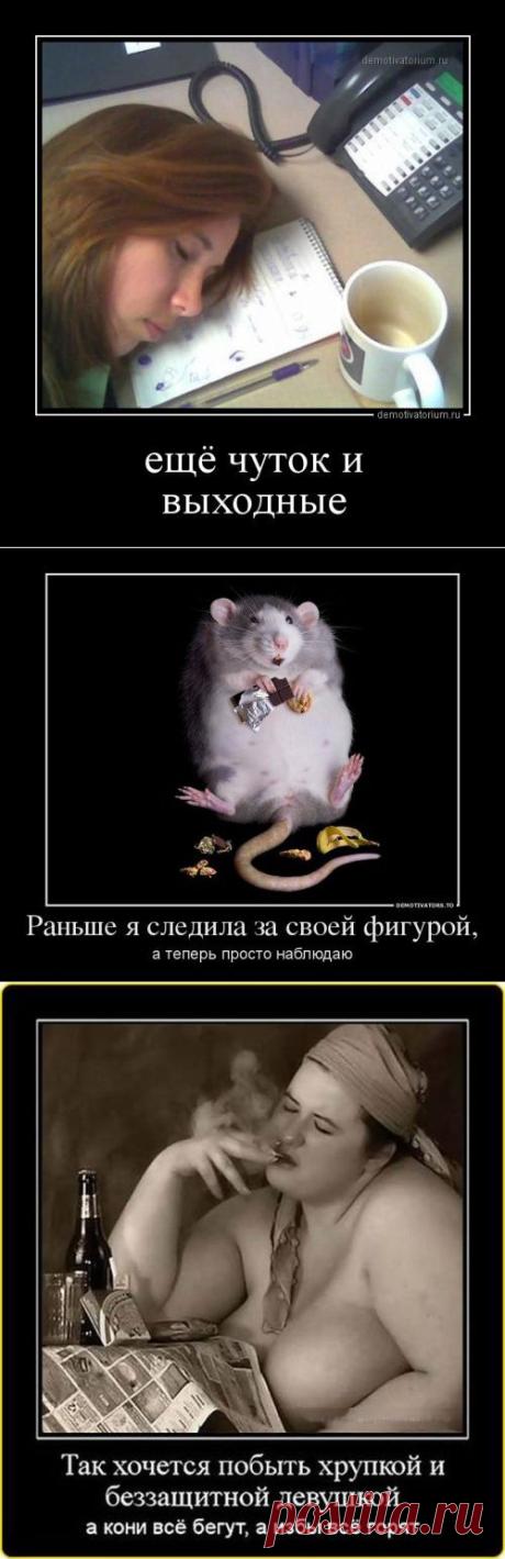 Юморные демотиваторы (12 шт)
