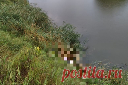 Молния убила россиянина на глазах у сына. В городе Ртищево Саратовской области молния убила местного жителя на глазах у его сына. По данным следственного управления Следственного комитета по региону, утром 4 августа 59-летний россиянин с сыном и снохой поехали на рыбалку на автомобиле на пруд возле села Сапожок.