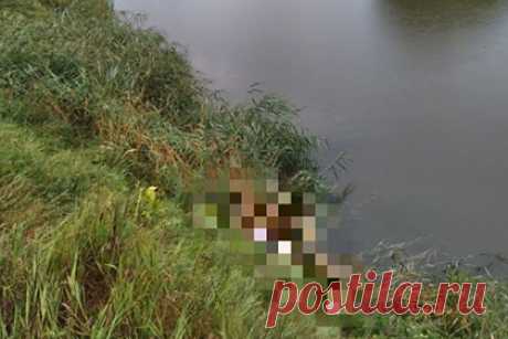 Молния убила россиянина на глазах у сына. В городе Ртищево Саратовской области молния убила местного жителя на глазах у его сына. По данным следственного управления Следственного комитета по региону, утром 4 августа 59-летний россиянин с сыном и снохой поехали на рыбалку на автомобиле на пруд возле села Сапожок.
