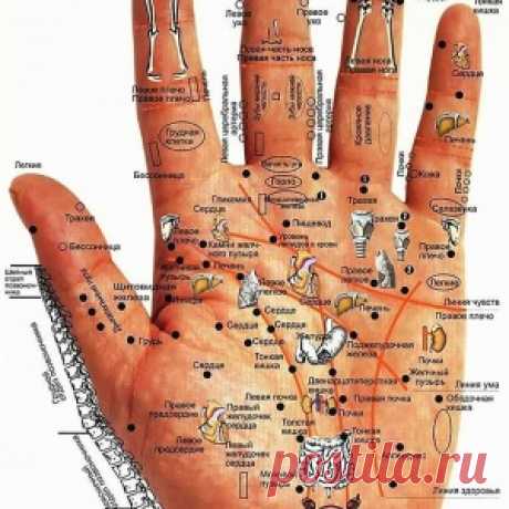 РЕКОМЕНДАЦИИ ДЛЯ УТРА, ВЕЧЕРА, ДНЯ И НОЧИ - МирТесен