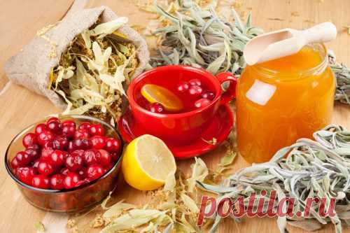 Клюква с медом и чесноком для чистки сосудов