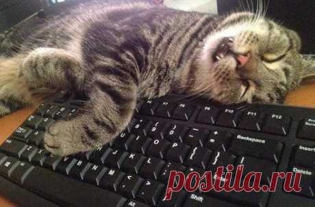 Одноклассники