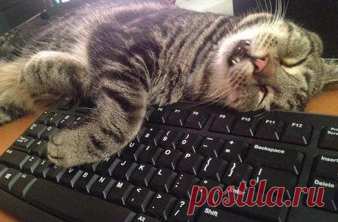 Одноклассники