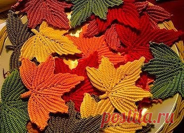 7 непрочитанных чатов