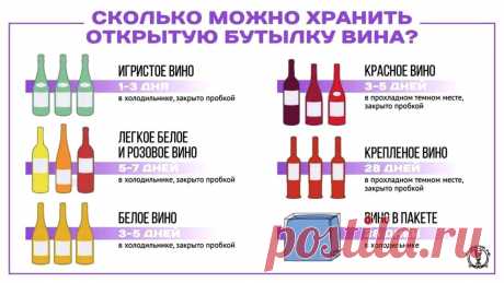 Сколько можно хранить открытую бутылку вина