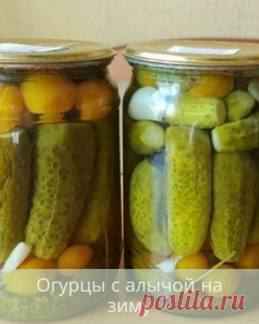 Огурцы с алычой на зиму — Дачный участок