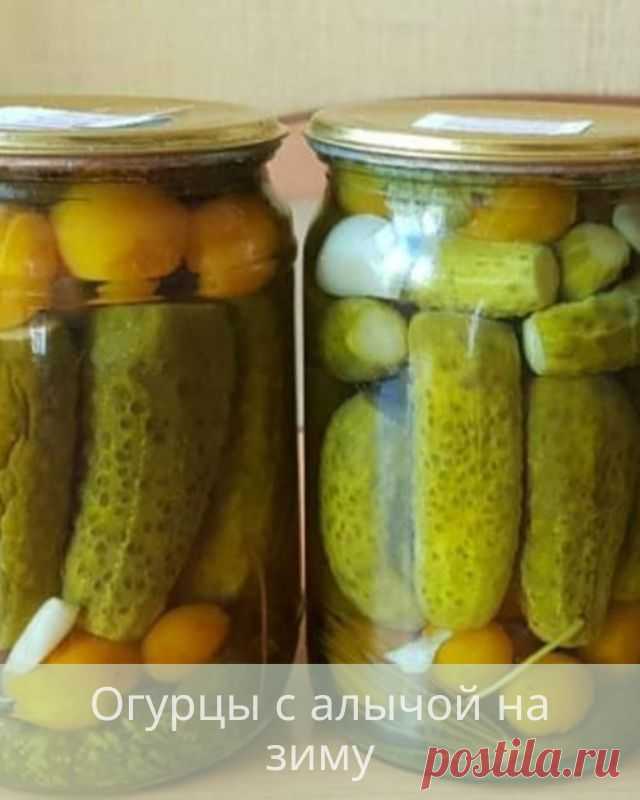 Огурцы с алычой на зиму — Дачный участок