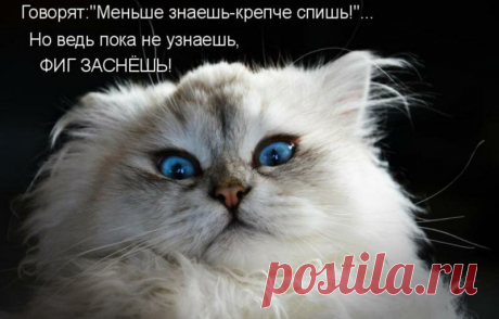 Выпуск №3082 - выпуск анекдотов сайта вокруг смеха
