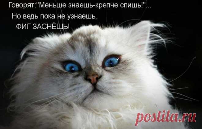 Выпуск №3082 - выпуск анекдотов сайта вокруг смеха
