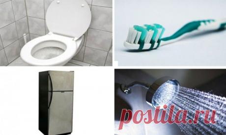 (+1) тема - 20 «чистых» вещей, которые на самом деле грязнее туалета | Среда обитания
Туалет привычно воспринимается всеми, как нечто очень грязное. И это совершенно справедливо. Даже очень чистый с виду (и по запаху) туалет на самом деле является прибежищем гигантского количества всевозможных бактерий и вирусов, которые вместе со всем прочим выделяются из организма человека, и избавиться от которых можно лишь проведя полномасштабную и очень дорогостоящую специальную антибактериальную и антивир