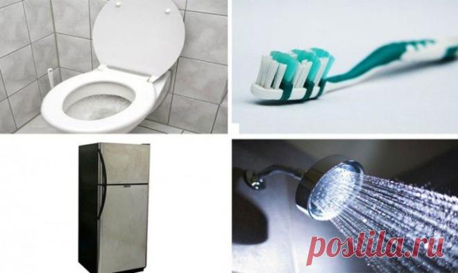 (+1) тема - 20 «чистых» вещей, которые на самом деле грязнее туалета | Среда обитания
Туалет привычно воспринимается всеми, как нечто очень грязное. И это совершенно справедливо. Даже очень чистый с виду (и по запаху) туалет на самом деле является прибежищем гигантского количества всевозможных бактерий и вирусов, которые вместе со всем прочим выделяются из организма человека, и избавиться от которых можно лишь проведя полномасштабную и очень дорогостоящую специальную антибактериальную и антивир