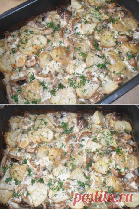 Молодая картошечка с грибами, мой рецепт, попробуйте