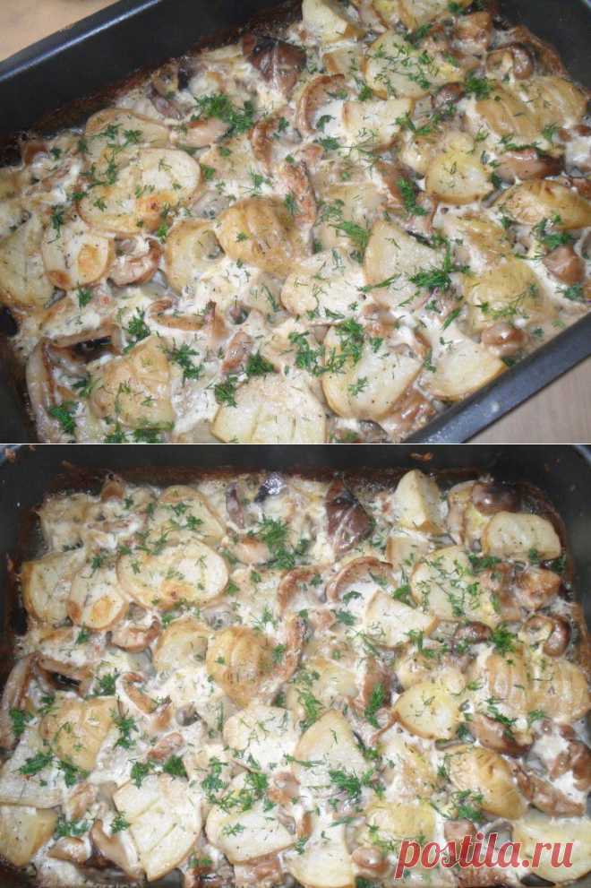 Молодая картошечка с грибами, мой рецепт, попробуйте