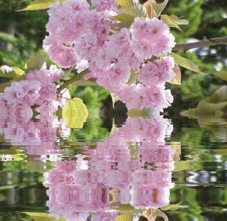 Подари букет цветов любимому и дорогому человеку | В гостях у тамады!