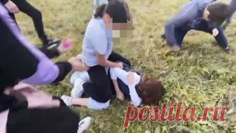 В Пермском крае школьница избила свою соперницу из-за ревности при поддержке сверстниц. В Александровском округе Пермского края 14-летняя девочка избила свою сверстницу на глазах у толпы. Об этом сообщает Аif.ru со ссылкой на комментарий краевого УМВД России. Судя по опубликованному в Telegram-канале &quot;ЧП ДТП ...
