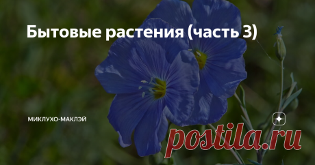 Бытовые растения (часть 3) На днях со мной произошла крайне удивительная история. Я покупал чеснок у бабушки на рынке и она мне сдала сдачу бумажным червонцем. Тотчас по моему телу рассыпались антикварные мурашки и я, заностальгировав, припомнил заодно и бумажные пятаки, пропавшие из оборота еще раньше. Десятка была старая и потрепанная, но бумага заметно сохранила плотность и выглядела вполне уверенно.
А всю ли бумагу