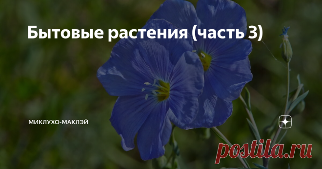Бытовые растения (часть 3) На днях со мной произошла крайне удивительная история. Я покупал чеснок у бабушки на рынке и она мне сдала сдачу бумажным червонцем. Тотчас по моему телу рассыпались антикварные мурашки и я, заностальгировав, припомнил заодно и бумажные пятаки, пропавшие из оборота еще раньше. Десятка была старая и потрепанная, но бумага заметно сохранила плотность и выглядела вполне уверенно.
А всю ли бумагу