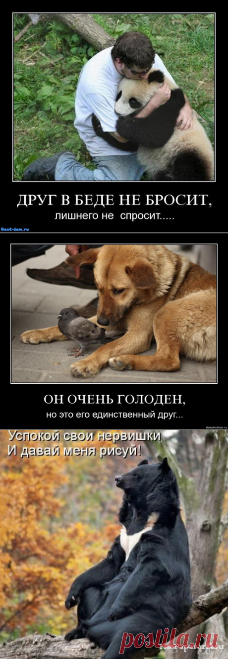 Скромненько, но со вкусом Фразы Александра Крутоуса поднимают настроение, веселят, тревожат.