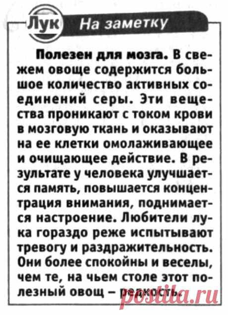 Лук полезен для мозга