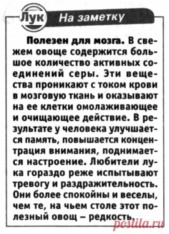 Лук полезен для мозга
