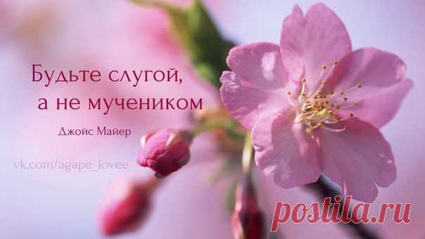 ♥...Агапэ...♥
«Проснувшись однажды утром, я, как обычно, пошла на кухню варить кофе. Господь сказал мне сделать салат для Дэйва. Ему очень нравится фруктовый салат на завтрак, и ему было бы очень приятно, если бы я приготовила его. Он ещё спал, и у меня было достаточно времени, чтобы приготовить ему сюрприз, однако мне совсем не хотелось делать этот салат. Я могла бы принести ему банан или яблоко, но совсем не хотела резать фрукты, перемешивать их в чашке и подавать на стол. Вместо этого я хоте