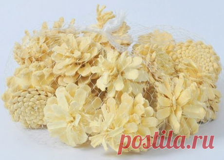 ОТБЕЛИВАЕМ СОСНОВЫЕ ШИШКИ ДЛЯ НОВОГОДНЕГО ДЕКОРА 
Дело - проще простого, но получается красота красивущая!
 Если отбелить сосновые шишки, они будут настоящей находкой для новогоднего интерьера. Ими можно украсить новогодний венок, в сочетании с темными шишечками, их можно поставить на новогодний стол как украшение. Да мало ли, что в нашу, полную идей голову, придет)))
Нам понадобится:
белизна - очень много (или другой отбеливатель с хлоркой)
ведро
тарелка
перчатки
шишки
грузик
Сделать элемент