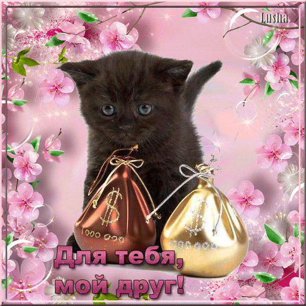 Для тебя, мой друг!
