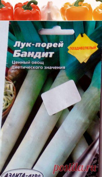 Как выбрать сорта лука порея, чтобы получить хоть какой-то урожай.