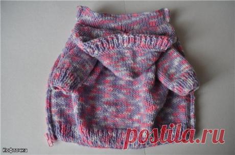 Выкройки одежды для собак