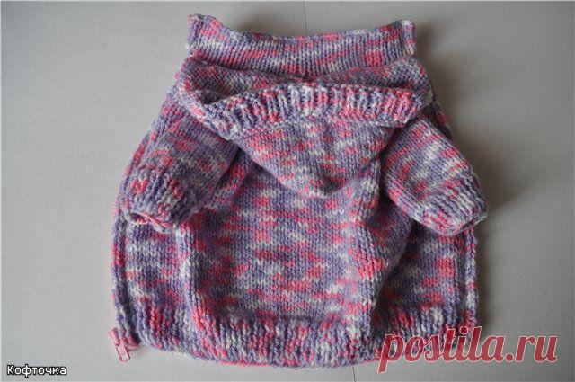 Выкройки одежды для собак