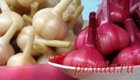Маринованный чеснок холодный способ. Вкуснятина