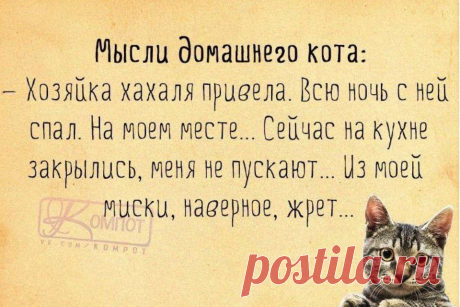 Жизненные &quot;компотные&quot; открытки | Приколисты
