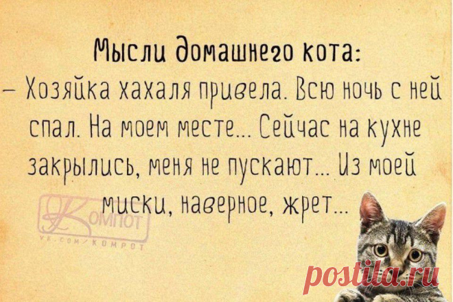 Жизненные "компотные" открытки | Приколисты