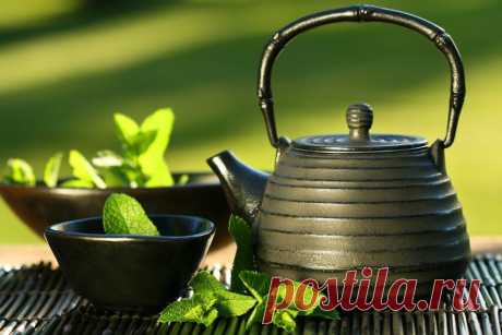 Зеленый чай — вкус, придающий силы.
Китайский Зеленый чай — это минимально ферментированный вид чая. Он обладает ярким, очень приятным, насыщенным ароматом. Данный напиток занял прочное место в культуре чаепития. В Древнем Востоке зеленый чай считался «живой водой», укрепляющей здоровье.

Сегодня этот напиток приходит на смену черному чаю в западных странах. Сама британская королева вводит моду на зеленый чай.