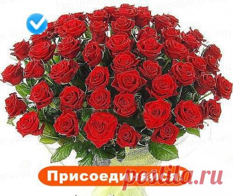 Одноклассники