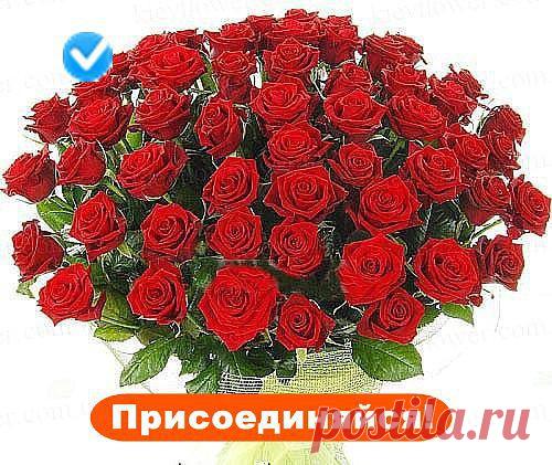 Одноклассники